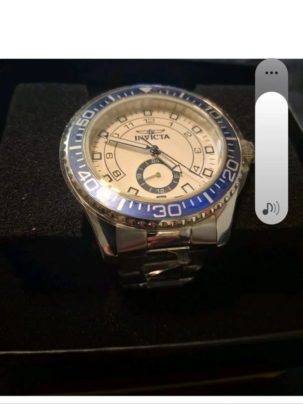 Invicta  Pro Diver Silver Watch with Blue Bezel and White Dial